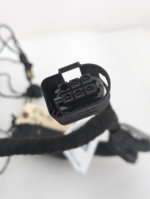 BMW E70 X5 M/E71 X6 M Right/Passenger Side Front Door Wiring Harness & Light 7184660