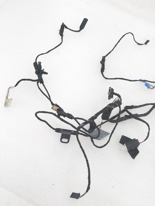 BMW E70 X5 M/E71 X6 M Right/Passenger Side Front Door Wiring Harness & Light 7184660