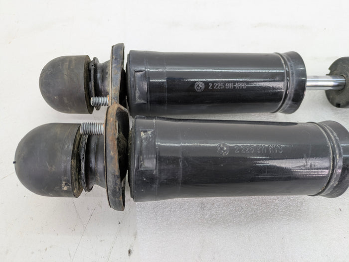 BMW Z3 M Roadster S52 Left/Right Rear Shock Absorber Set 2228358