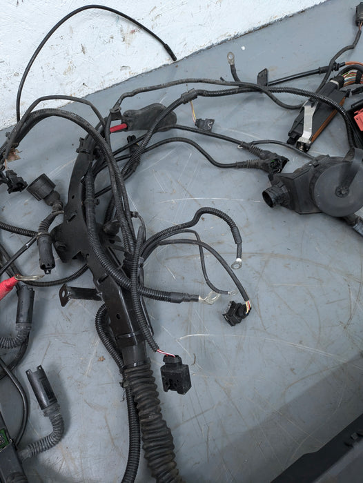 BMW Z3 M S52 Engine & Manual Transmission Wiring Harness 1928402