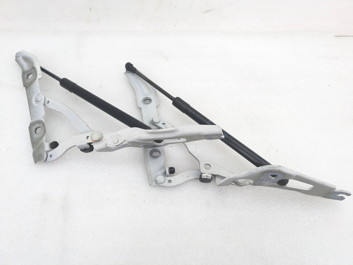 BMW E90 3 Series Left Right Trunk Lid Hinge Set & Struts 7060627/7060628/7250308