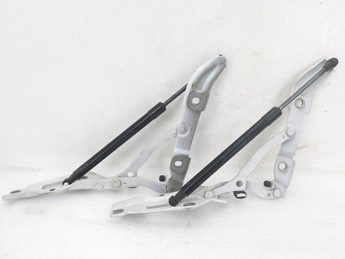 BMW E90 3 Series Left Right Trunk Lid Hinge Set & Struts 7060627/7060628/7250308