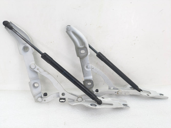 BMW E90 3 Series Left Right Trunk Lid Hinge Set & Struts 7060627/7060628/7250308