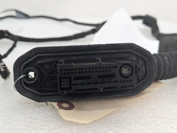 BMW E70 X5 M/E71 X6 M Right/Passenger Side Front Door Wiring Harness & Light 7184660