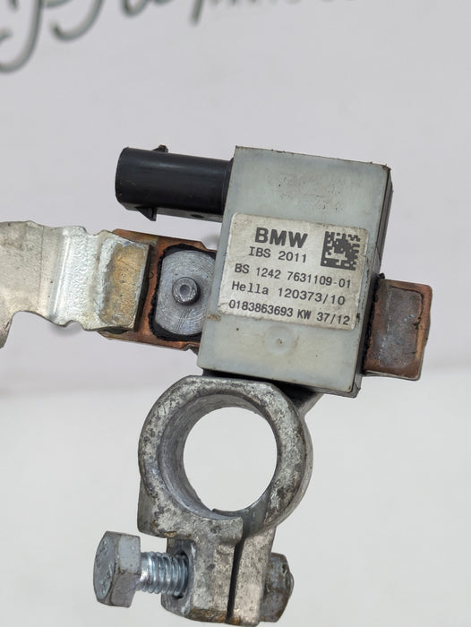BMW F30 F31 F32 F33 F34 F36 335xi 340xi 330xi 328xi 320xi Negative Battery IBS Cable 7631109