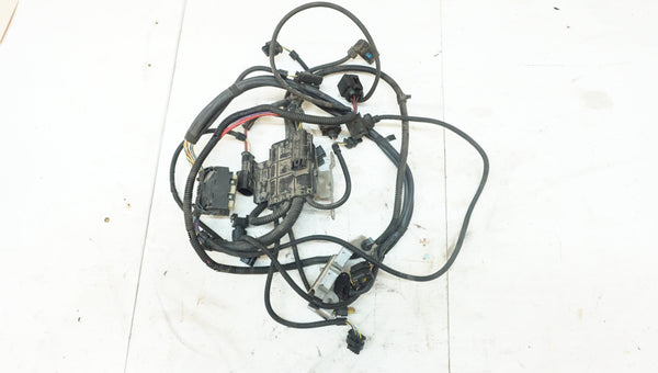 BMW F30 F32 F33 F34 F36 335i 435i N55 Engine Wiring Harness 7591981